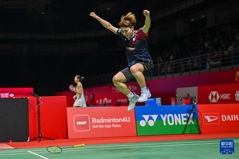 术多样性 术多样性