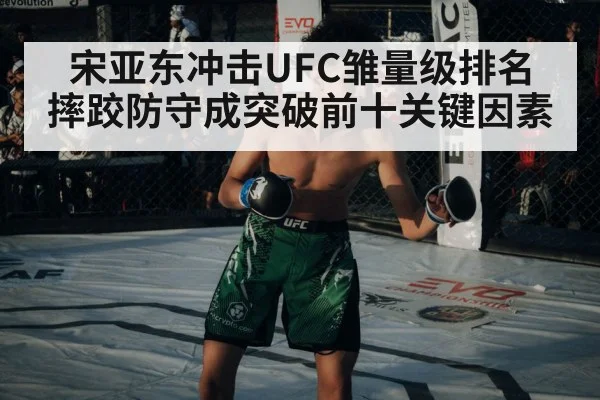 UFC octagon cage fight